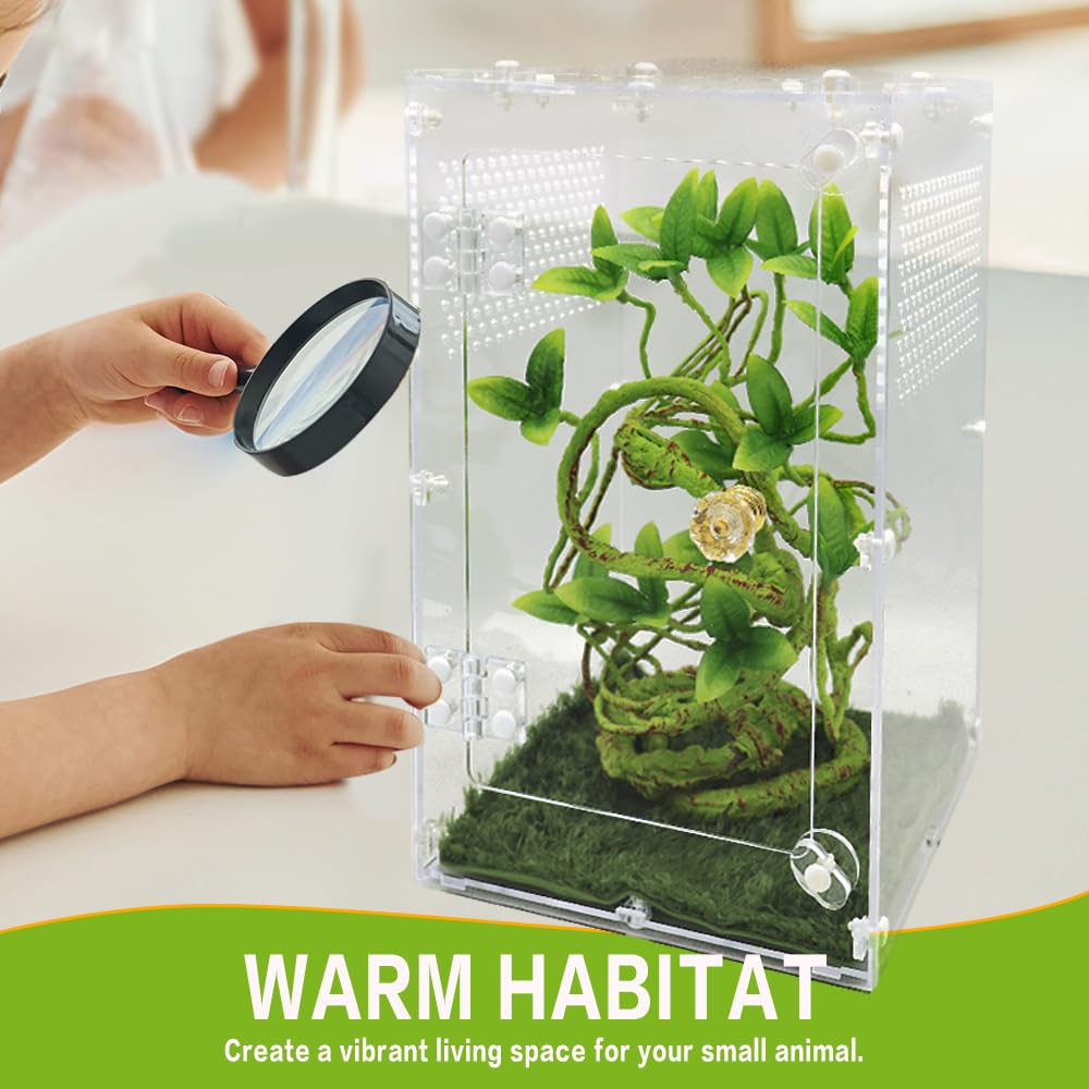 Oialonne jumping spider enclosure decor not included for a customizable habitat.