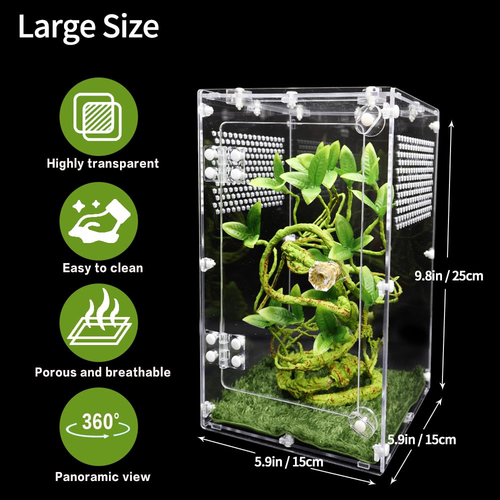 Oialonne jumping spider enclosure shows dimensions 6x6x10 inches for proper space planning.