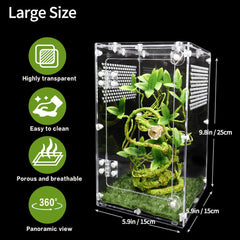 Oialonne jumping spider enclosure shows dimensions 6x6x10 inches for proper space planning.