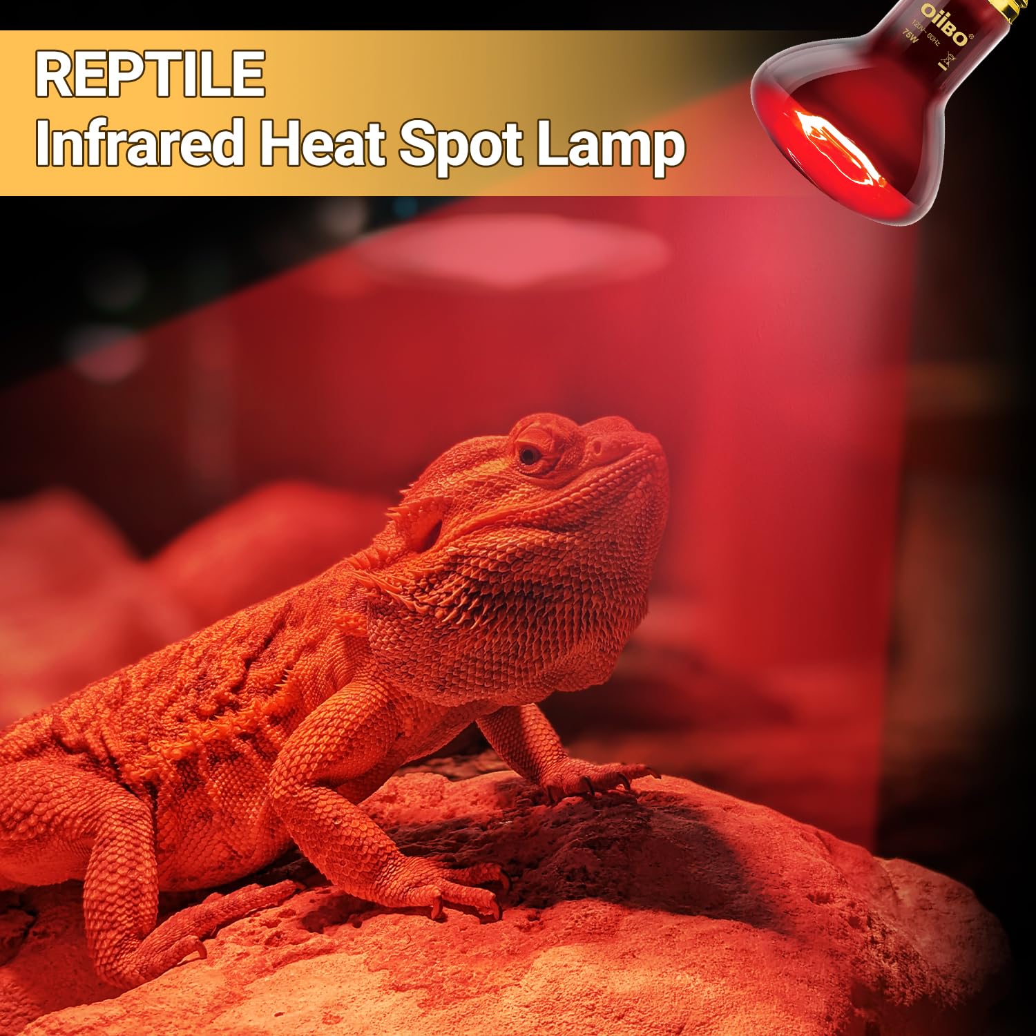 Oiibo 120V E26 base bulb for broad compatibility with reptile enclosures