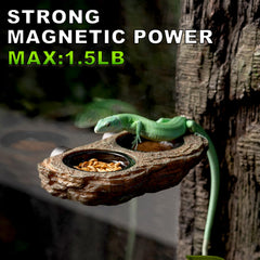 Oiibo crested gecko feeder ledge with natural rock texture habitat realism.