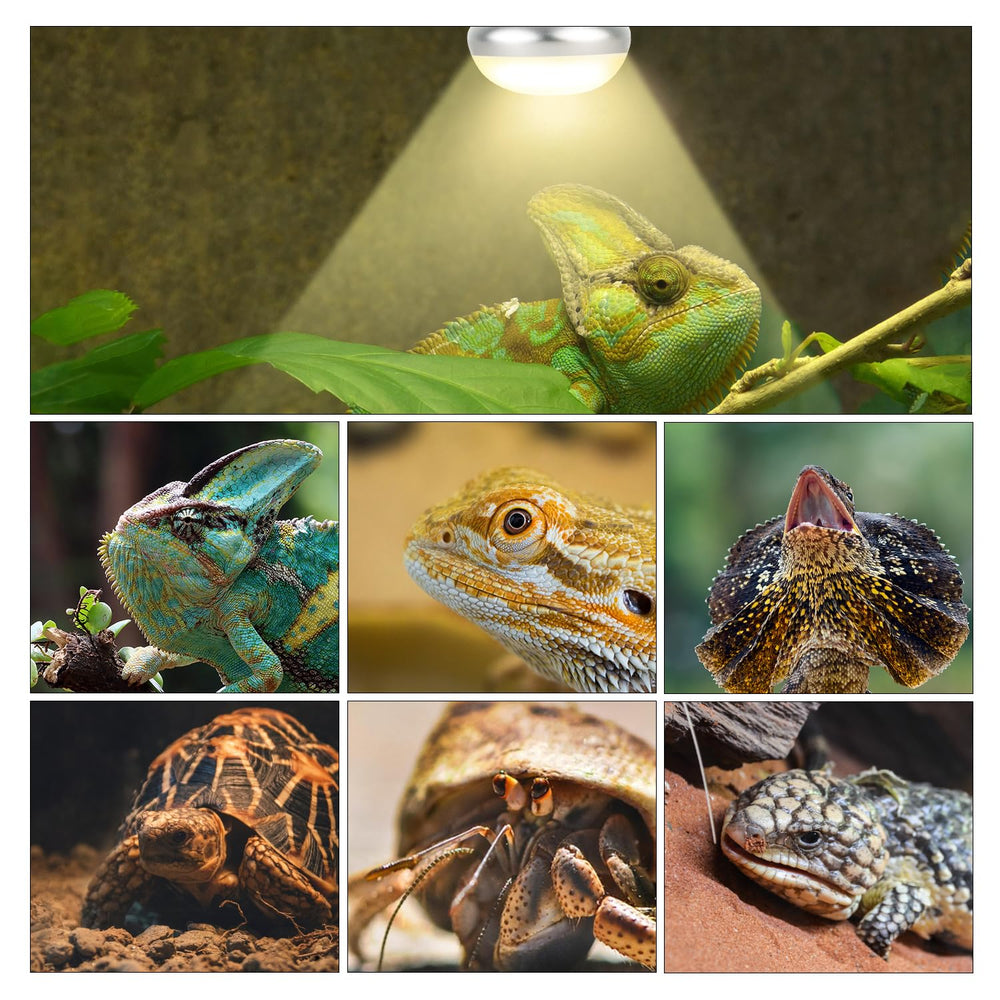 Oiibo durable basking lamp lasts 2000–3000 hours for extended setups