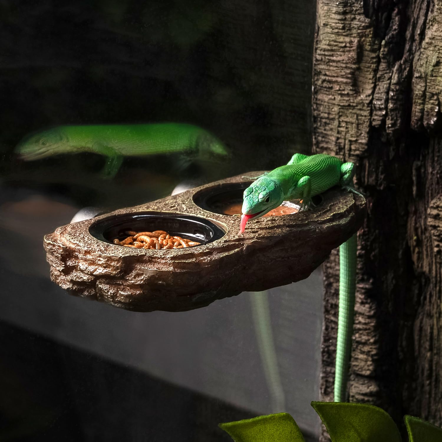 Oiibo easy-clean feeding cups on the ledge simplify maintenance.