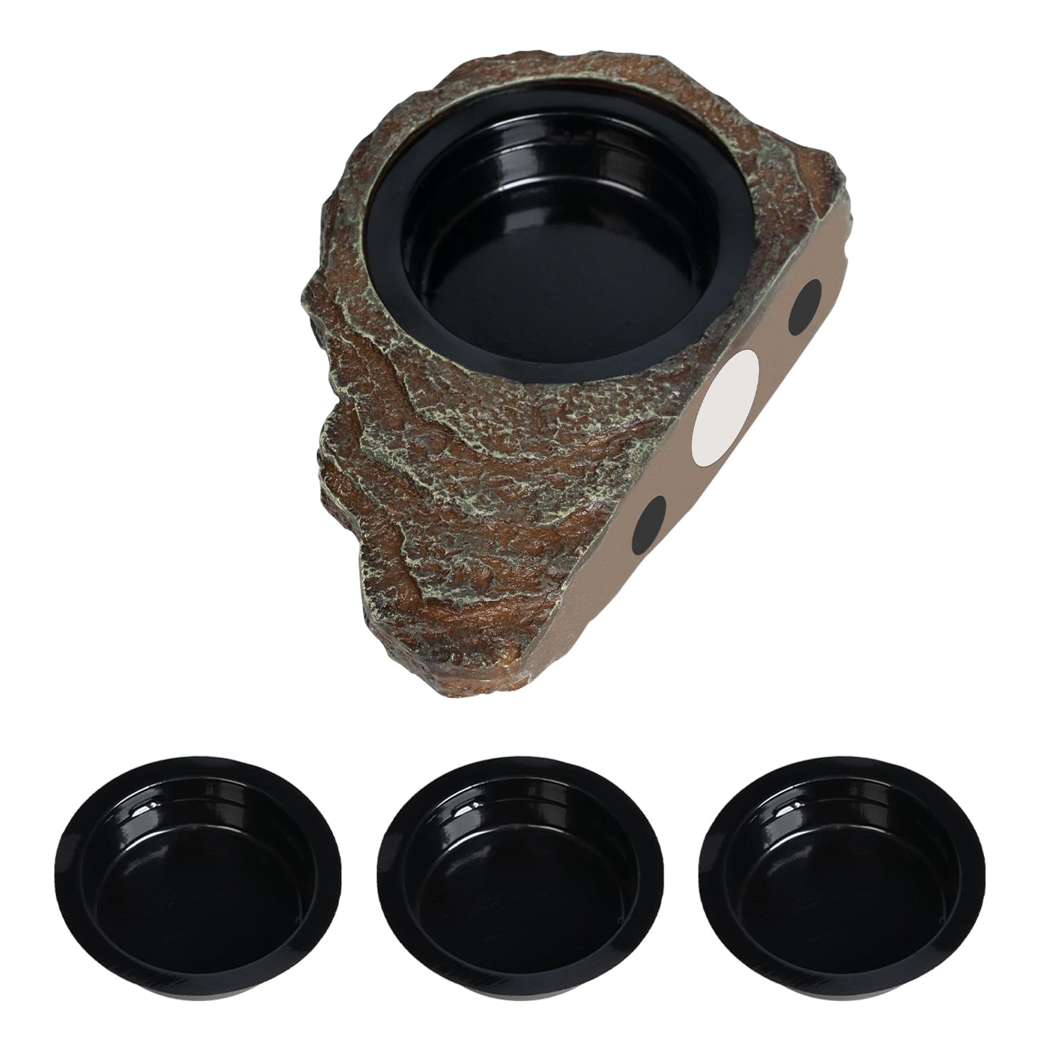 Oiibo magnetic gecko feeder ledge securely attaches for stable terrarium feeding.