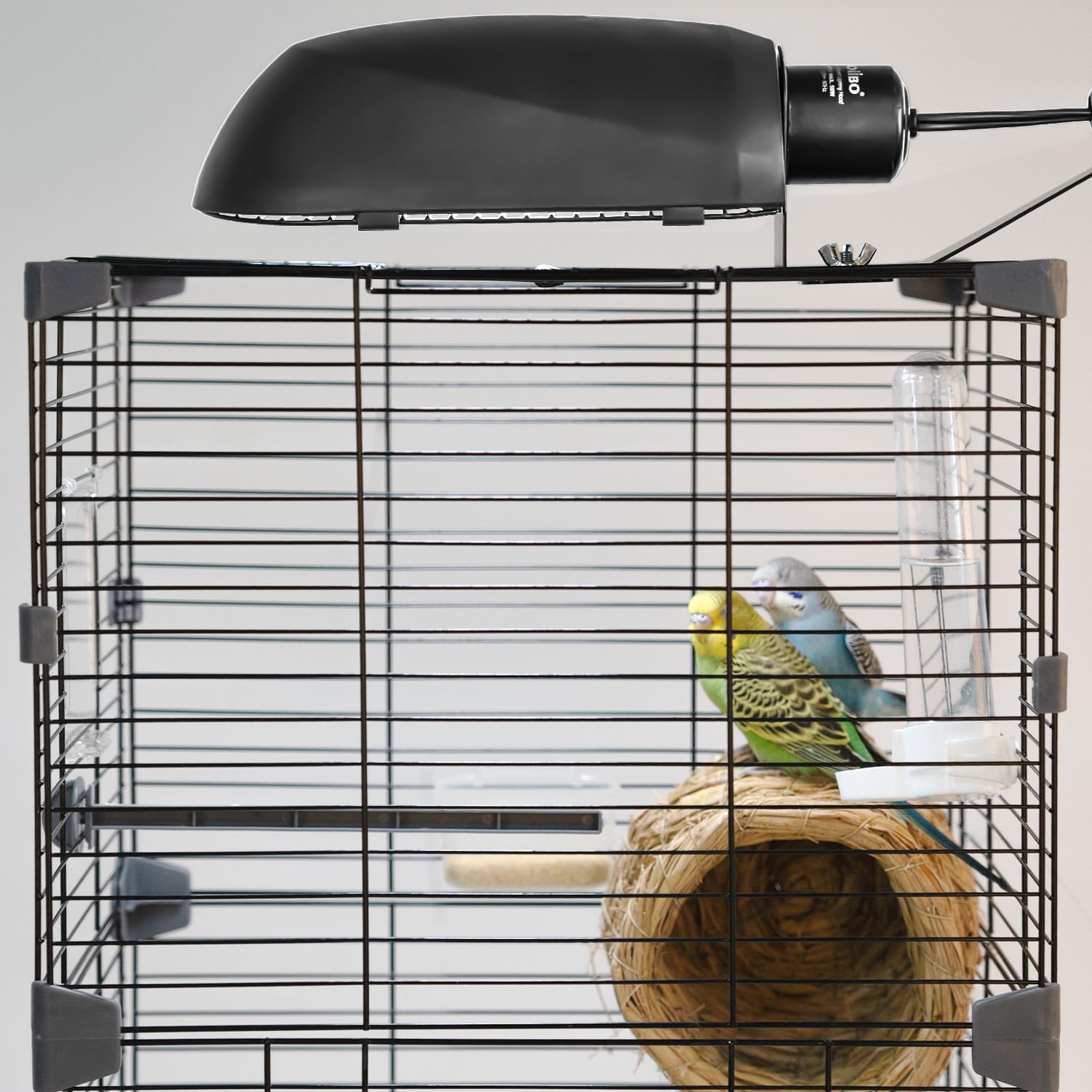 Oiibo max 50W compatibility supports larger cage setups.