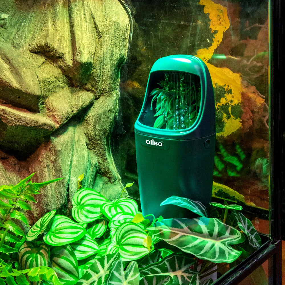 Oiibo natural-looking waterfall enhances terrarium aesthetics while providing water.