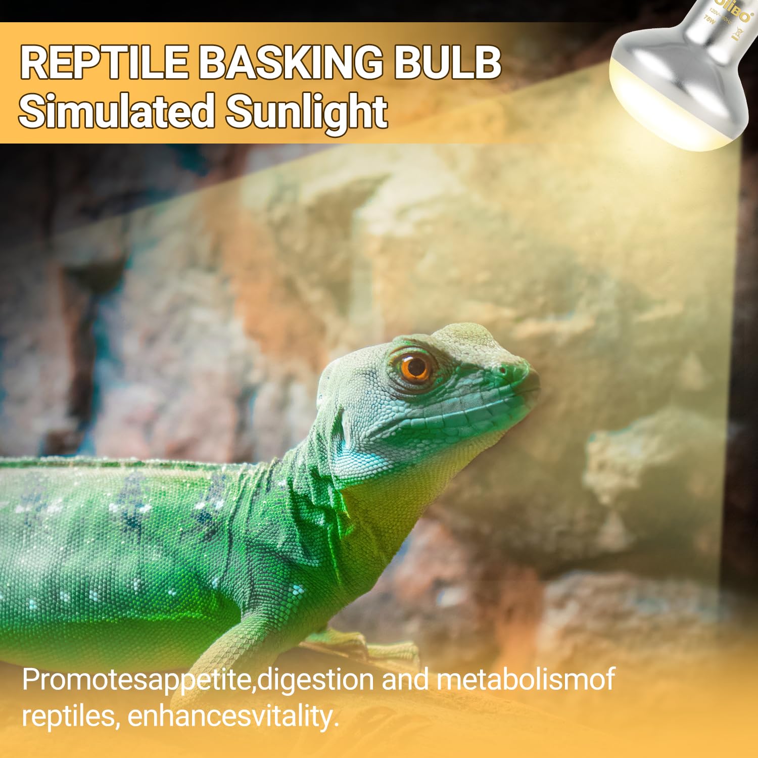 Oiibo night heat lamp glass design emphasizes durability and safe nocturnal heating