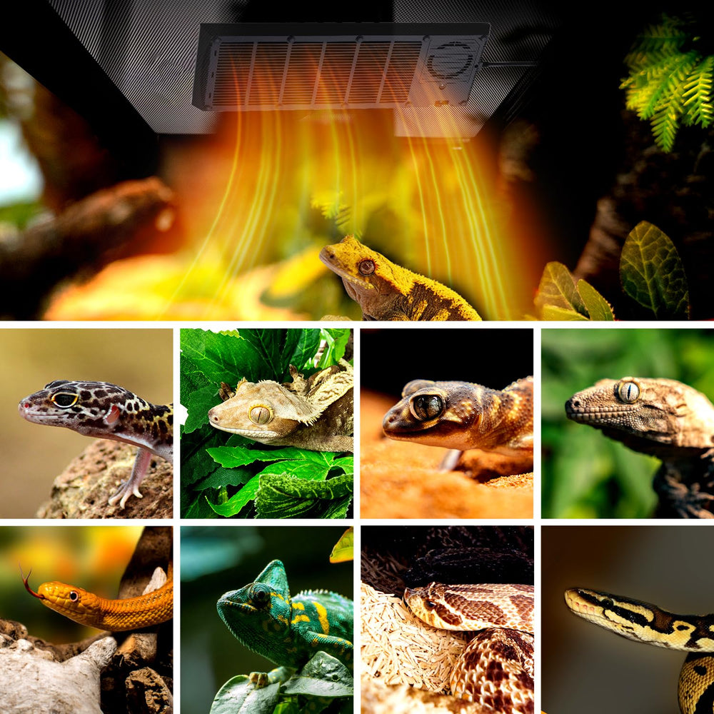 Oiibo Reptile Heat Panel delivers downward heat for efficient warming.