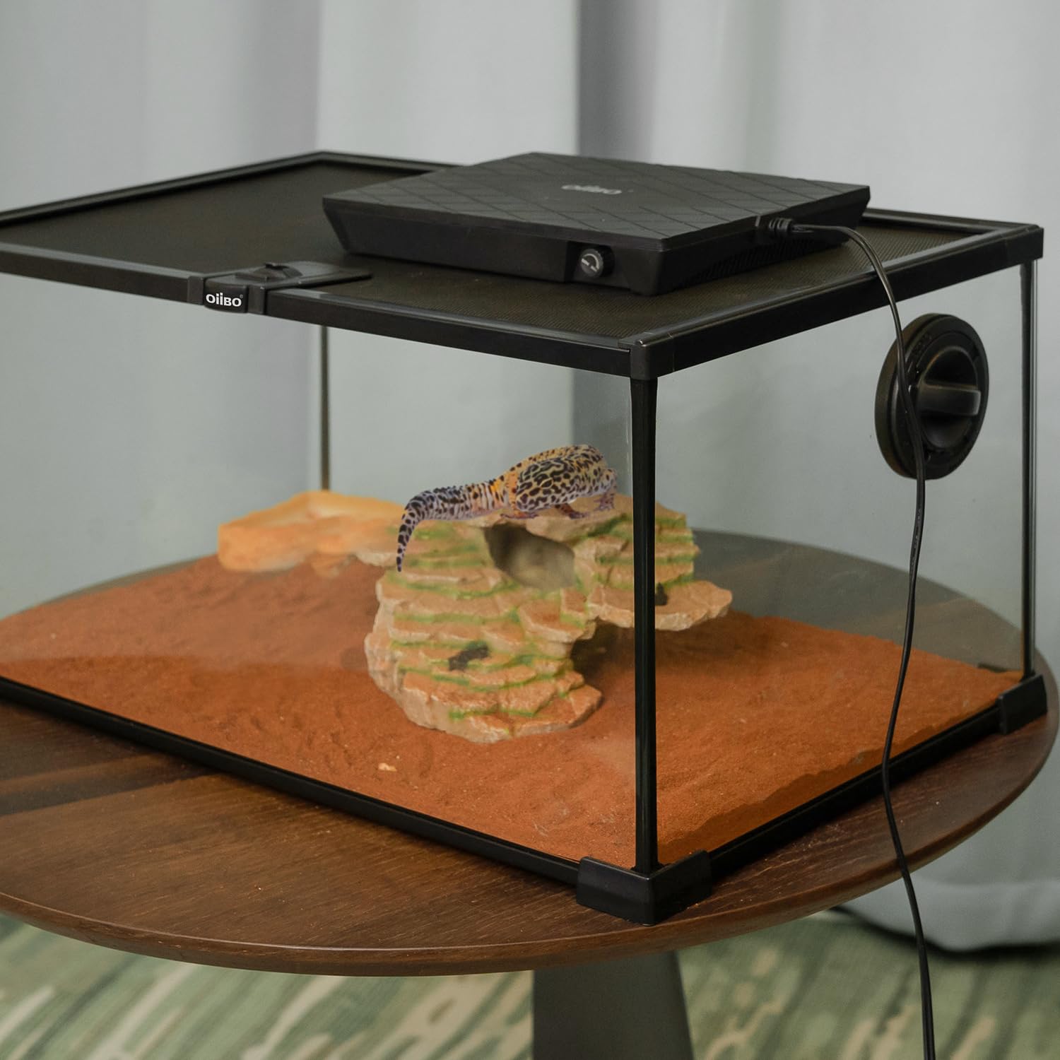Oiibo reptile heating panel energy-efficient design reduces power use.