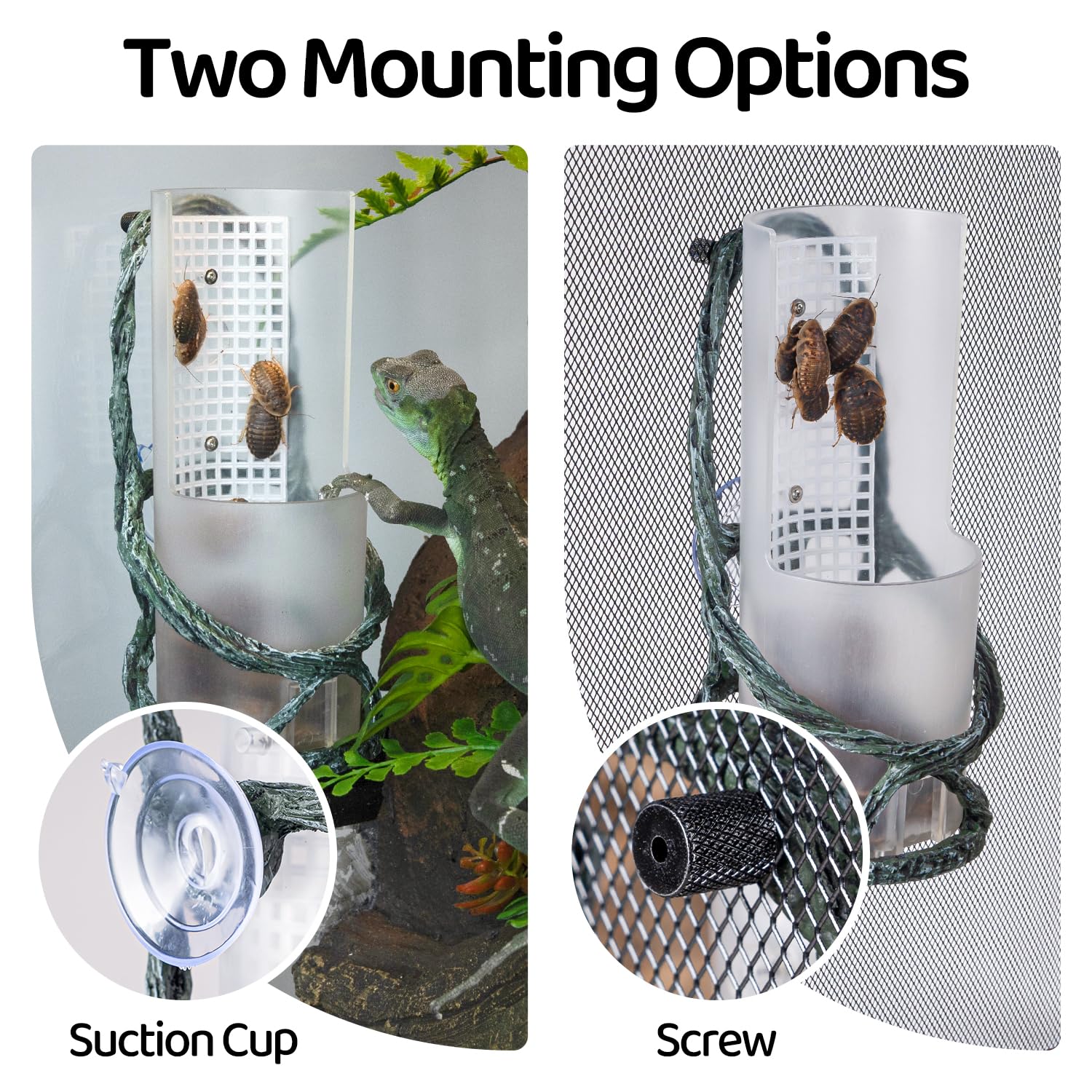 Oiibo suction cup mounting for secure terrarium attachment
