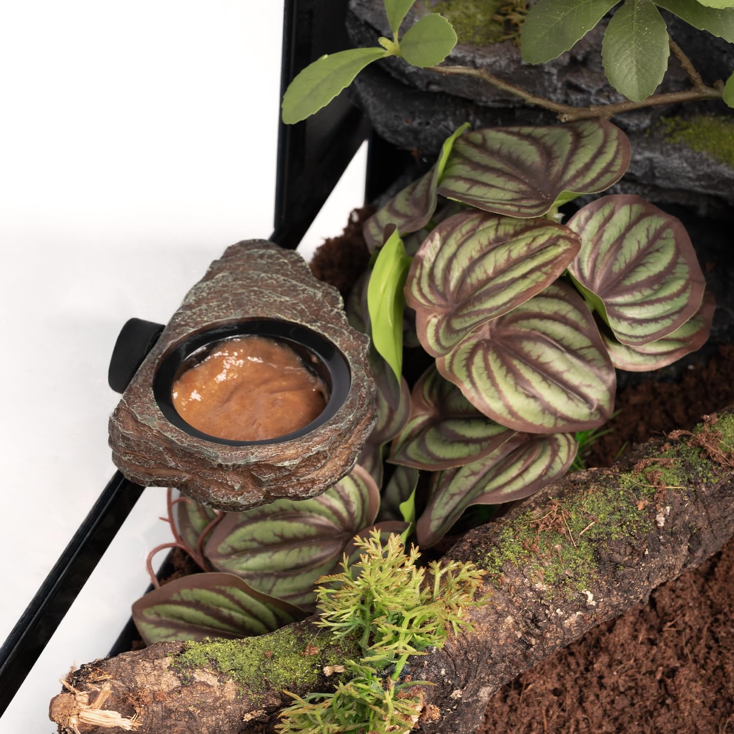 Oiibo wide reptile applications suitable for geckos, lizards, frogs, and more.