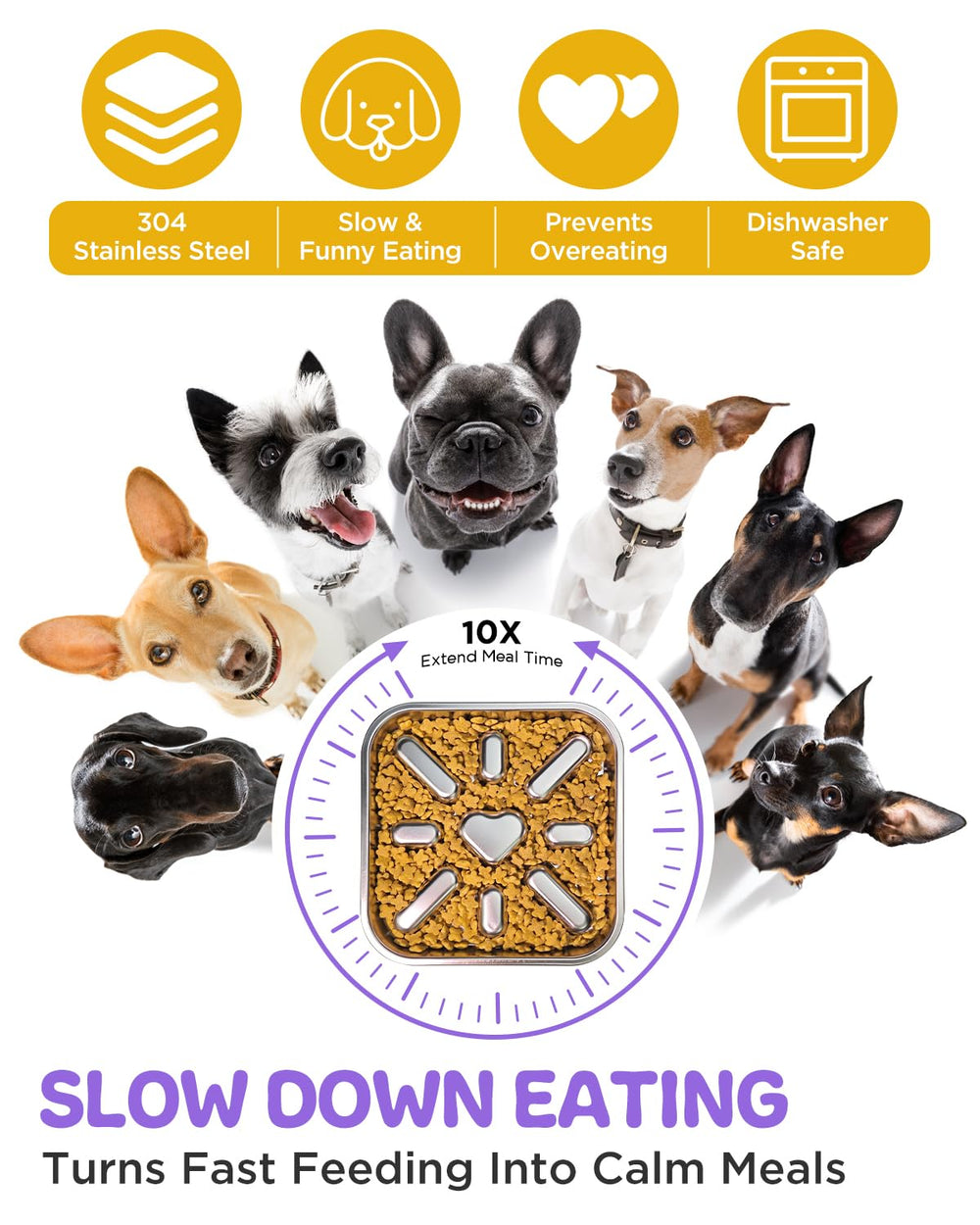 Oiwliur 2.5-cup bowl ideal for small and medium dogs meals