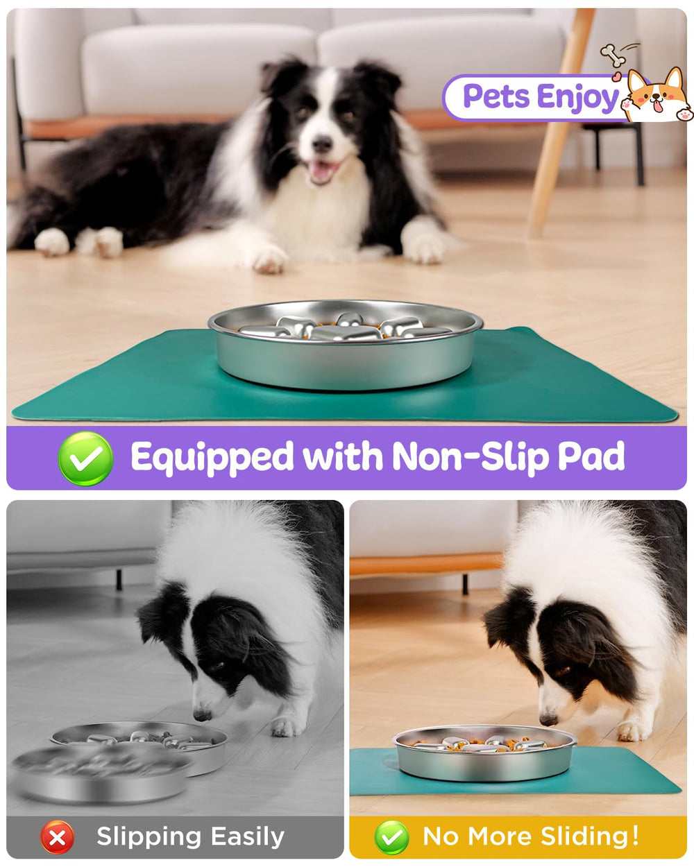 Oiwliur raised pattern slows eating without harming your dog.