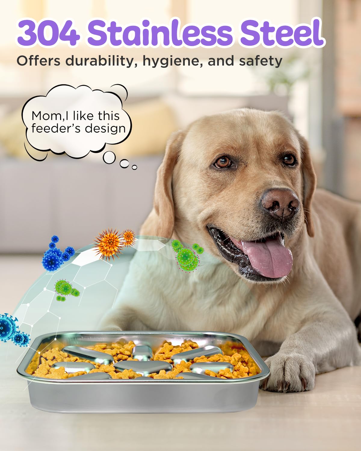 Oiwliur bowl safe for kibble, wet food, or canned meals