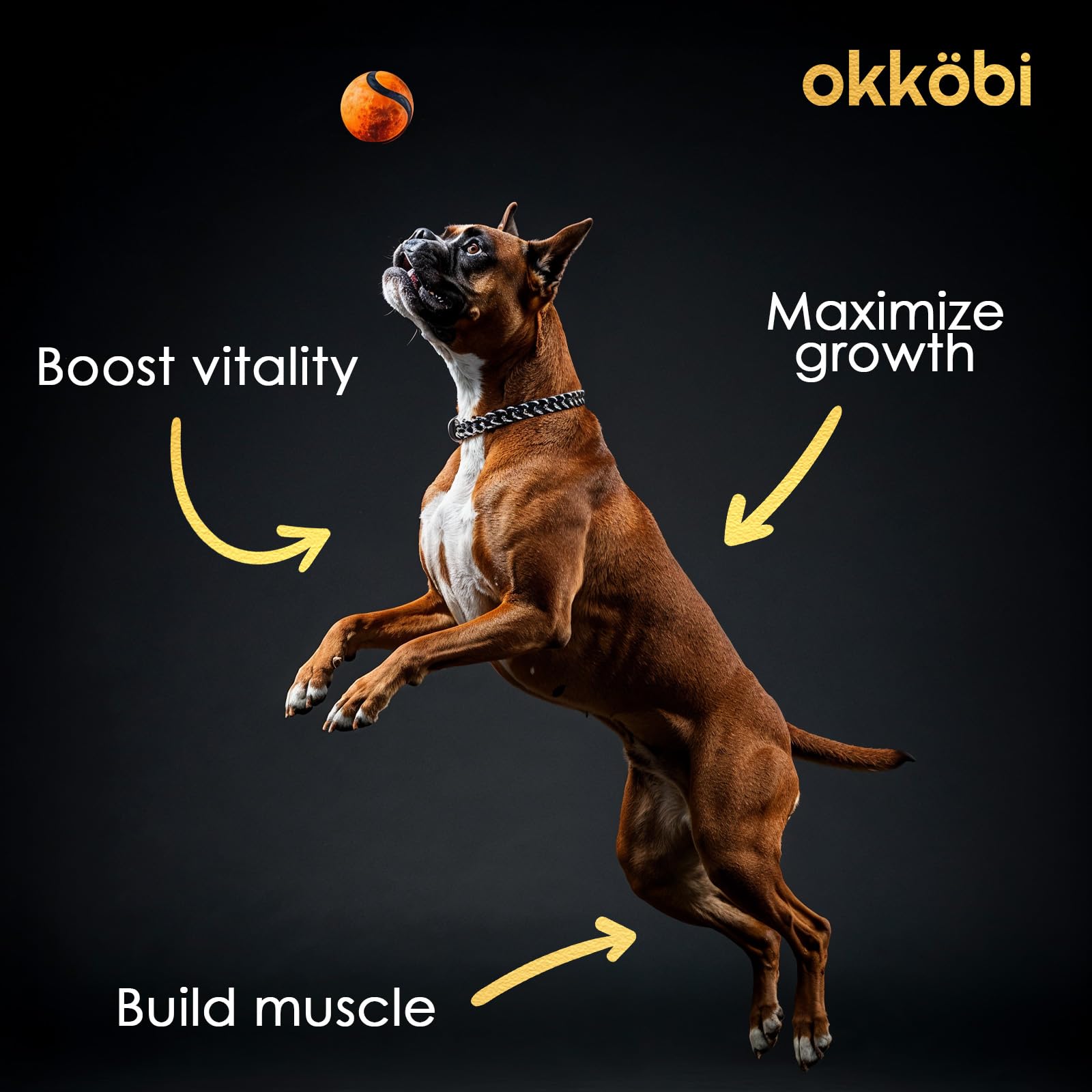 OKKÖBI astaxanthin and vitamin C with glucosamine for vitality