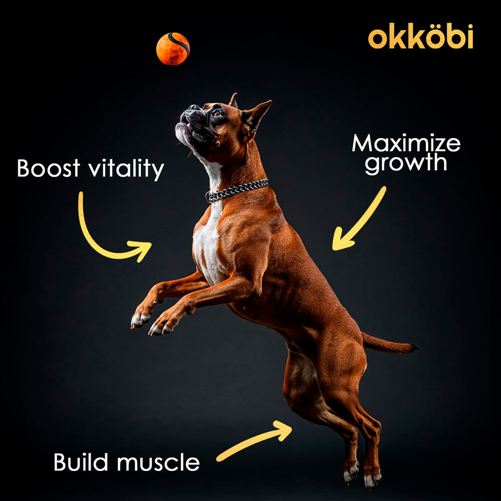 OKKÖBI astaxanthin and vitamin C with glucosamine for vitality