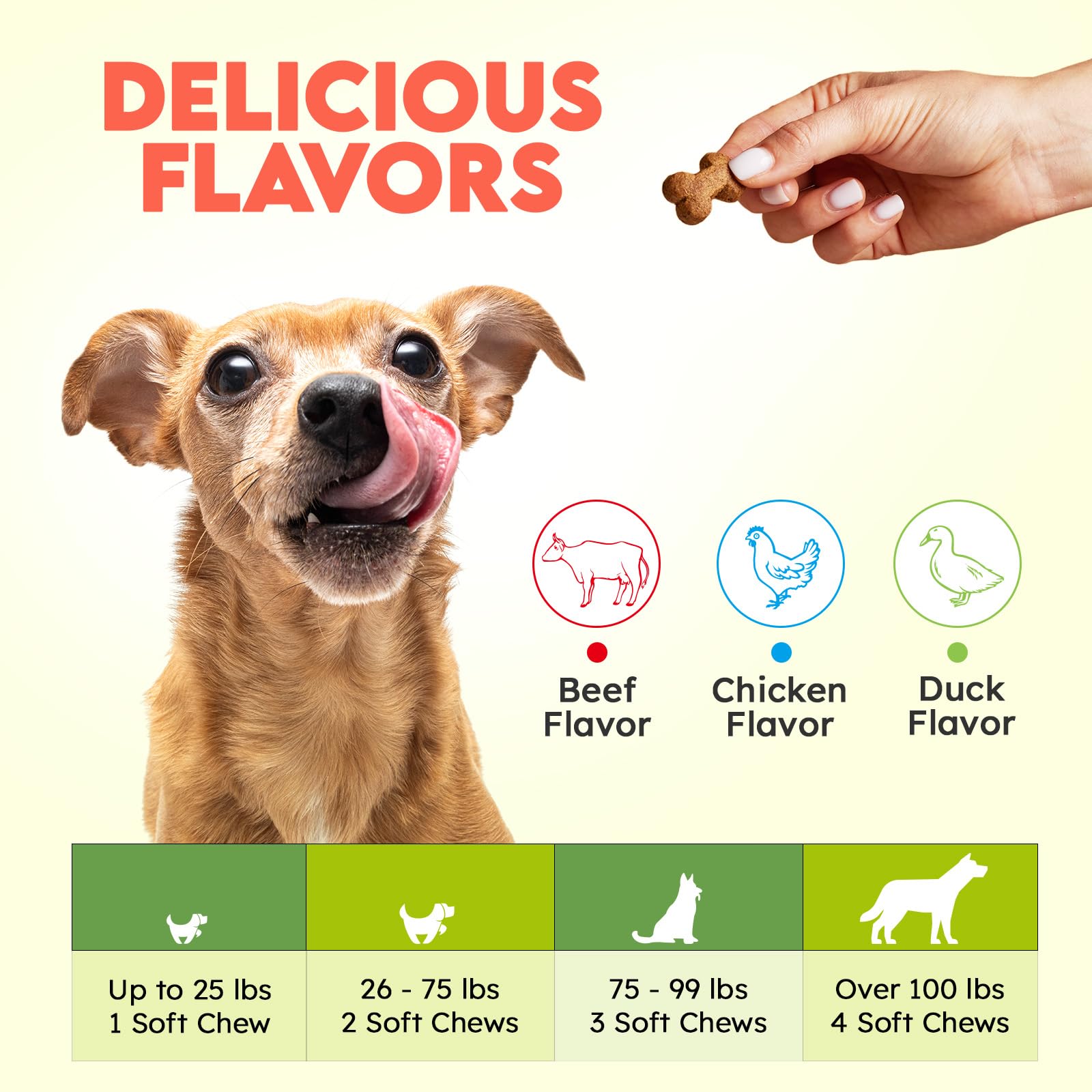 OKKÖBI Collagen for Dogs ingredients list highlights omega-3 oils for skin and coat support.