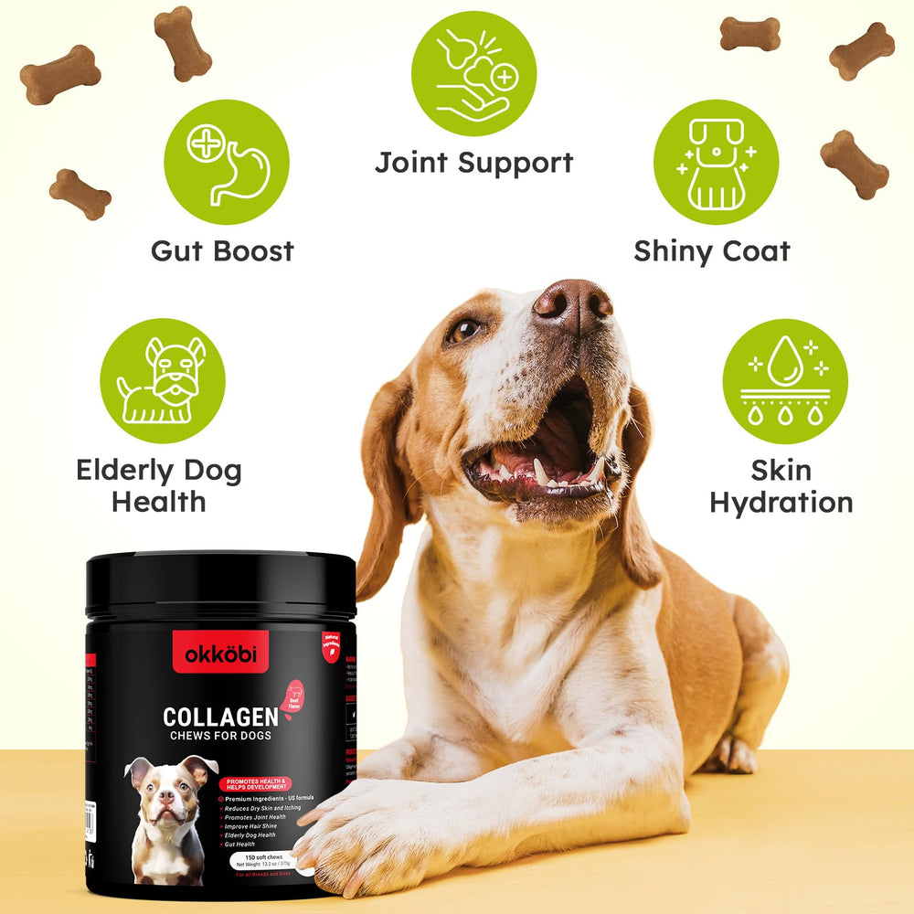 OKKÖBI Collagen for Dogs label details emphasize hyaluronic acid and eggshell membrane ingredients.