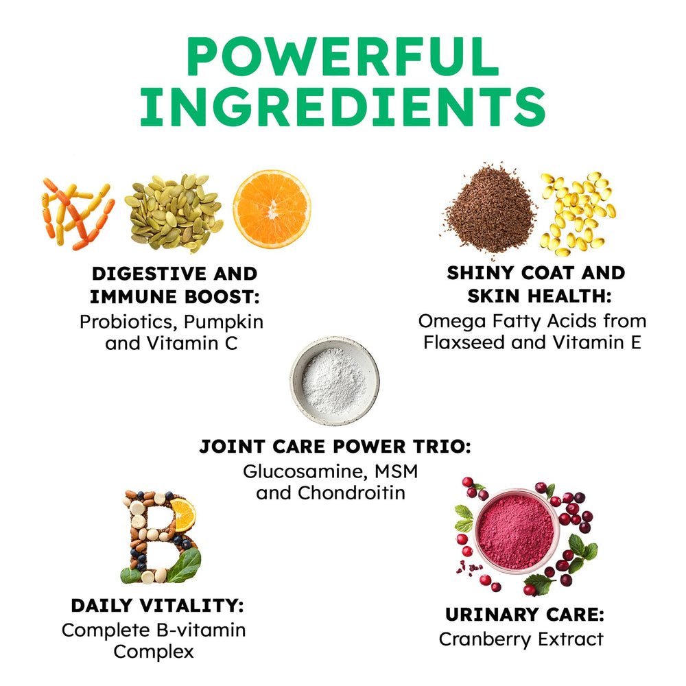 OKKÖBI immunity-support chews closeup highlight omega-3s and probiotics.