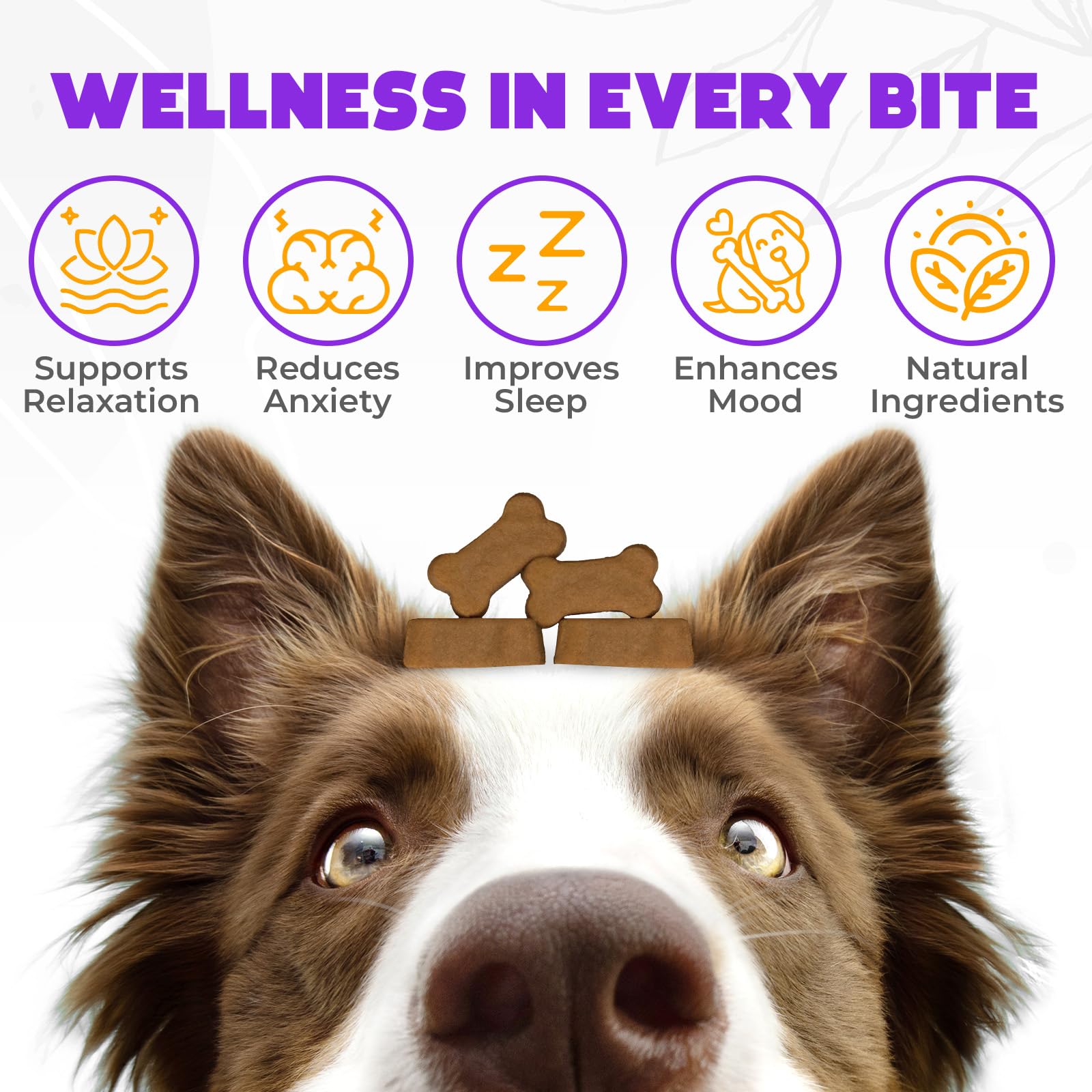 OKKÖBI hemp calming chews for dogs, beef flavor pack supports gentle relaxation after stress