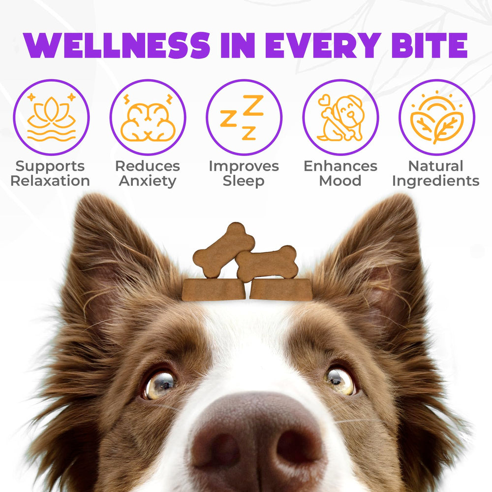 OKKÖBI hemp calming chews for dogs, beef flavor pack supports gentle relaxation after stress