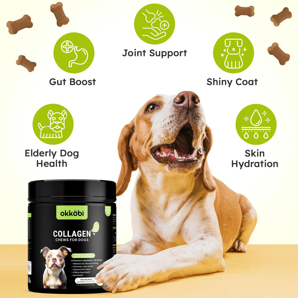 OKKÖBI skin and coat support chew highlighting a glossy coat result.