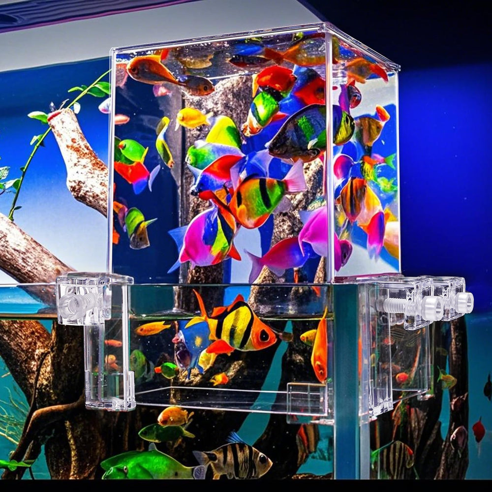 Okllen Fish Elevator creates an aerial habitat for natural swimming behavior