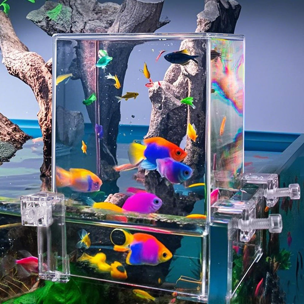 Okllen Ultra-Clear PC Acrylic delivers distortion-free views from every angle