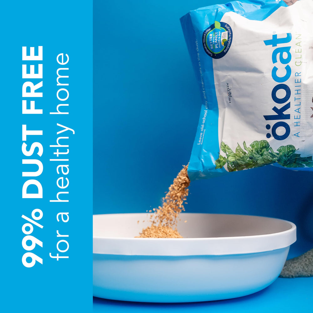 ökocat 99-percent-dust-free texture ensures a cleaner pour.