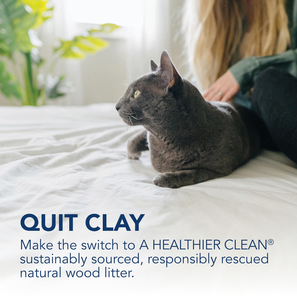 okocat 99% dust-free formula keeps home air clearer during cleaning