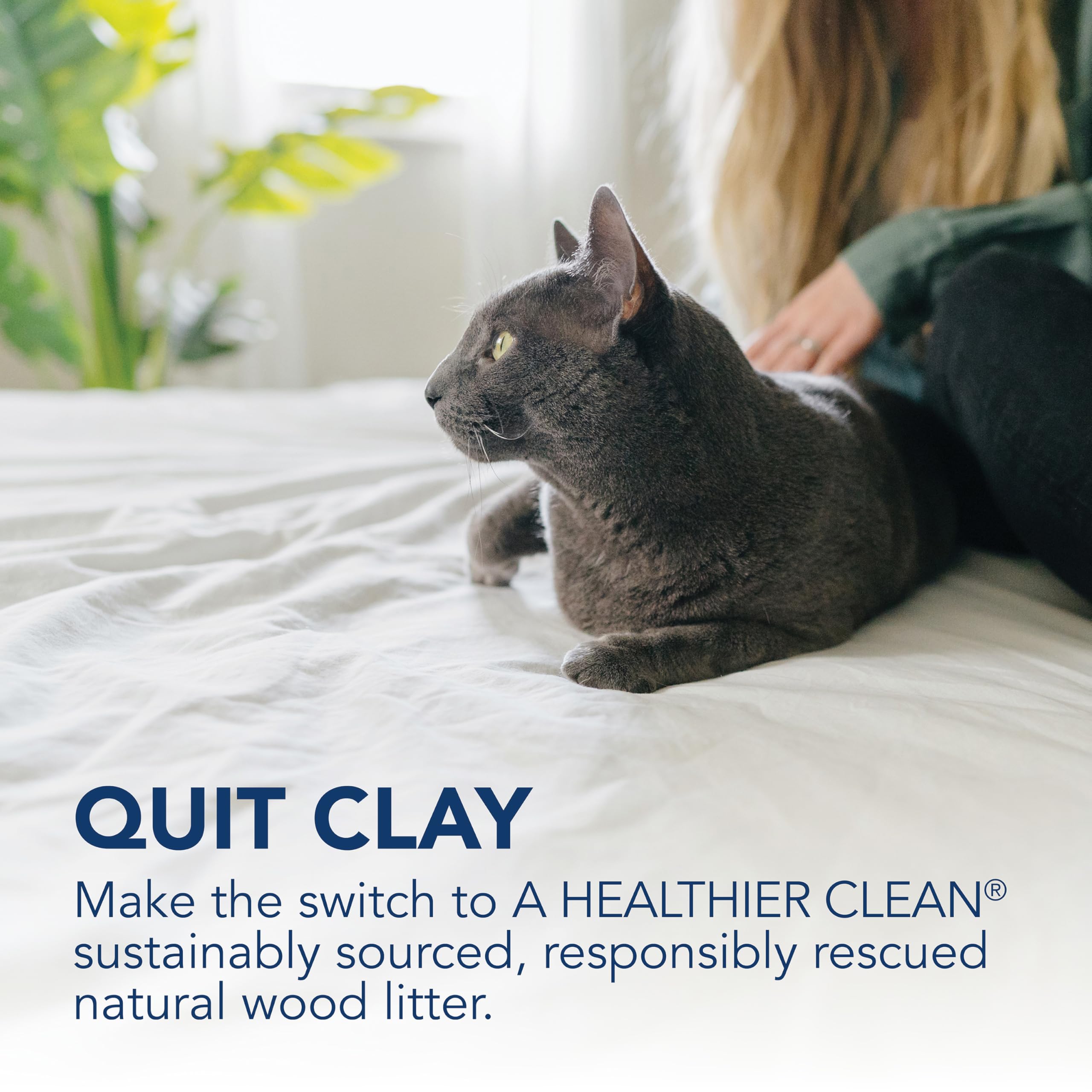 okocat unscented litter in box emphasizes natural materials