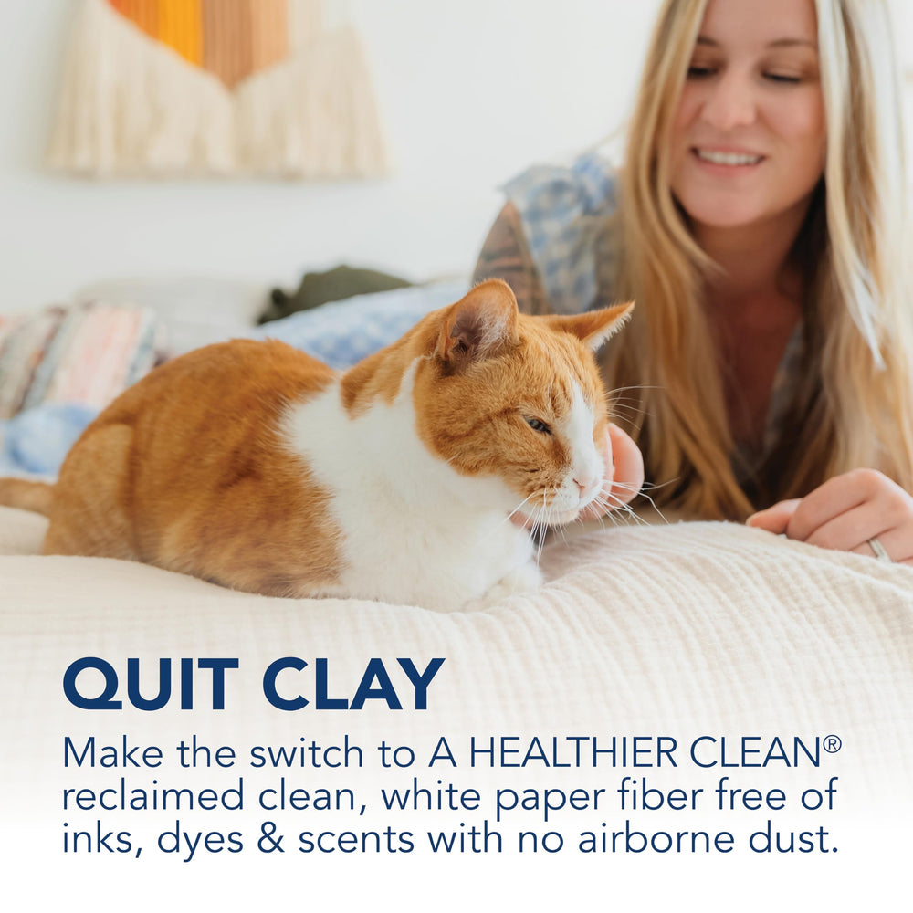ökocat recyclable paper packaging highlights sustainable design.
