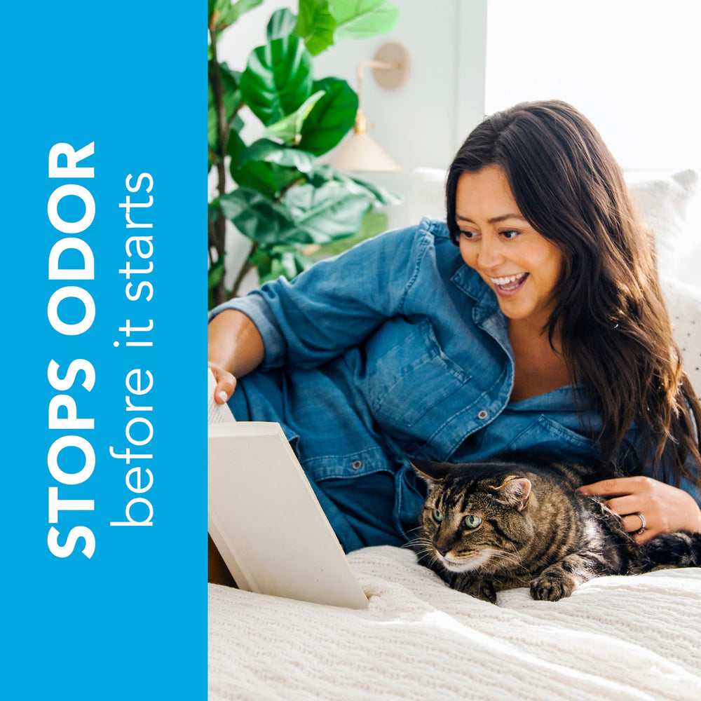 ökocat Wood Fiber Odor-Control close-up highlighting natural absorption.