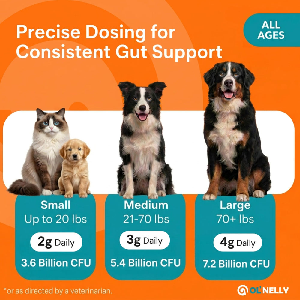 OL NELLY cat packaging displays feline-friendly probiotic care.