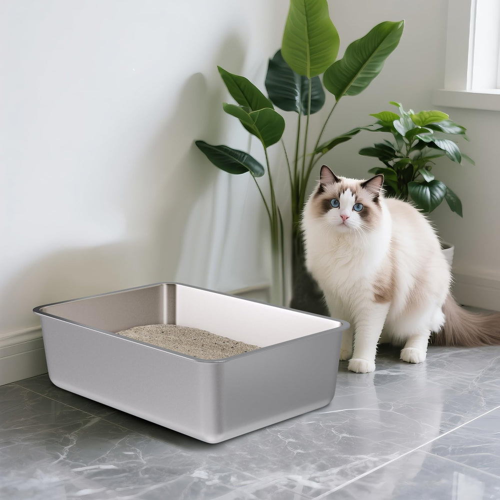 Olacat odorless surface reduces odor buildup between changes.