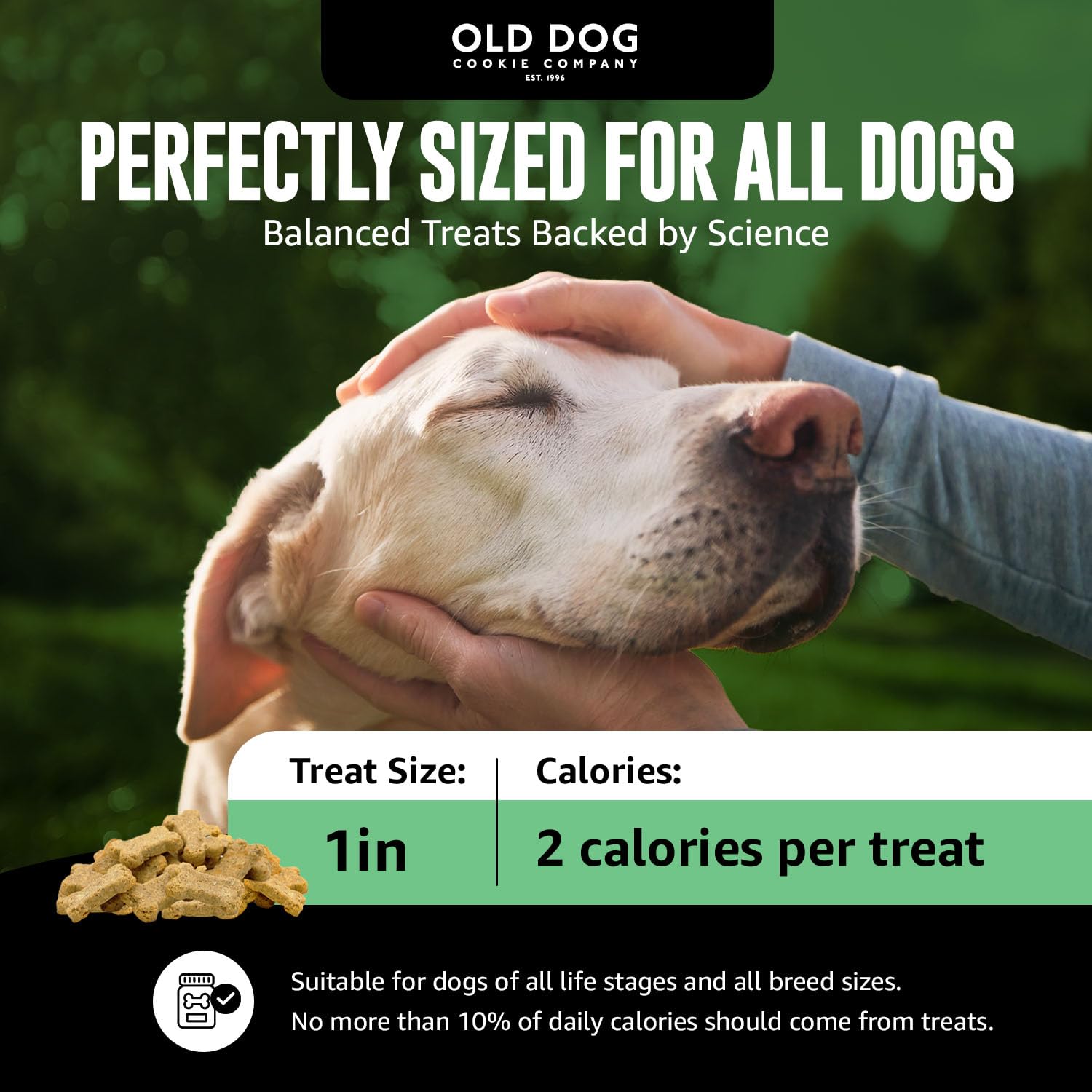 Old Dog Cookie Company Made-in-USA treats crafted from human-grade ingredients