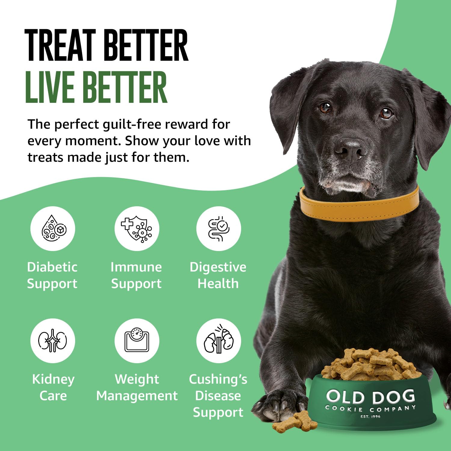 Old Dog Cookie Company pumpkin-infused treats supporting digestion and steady energy