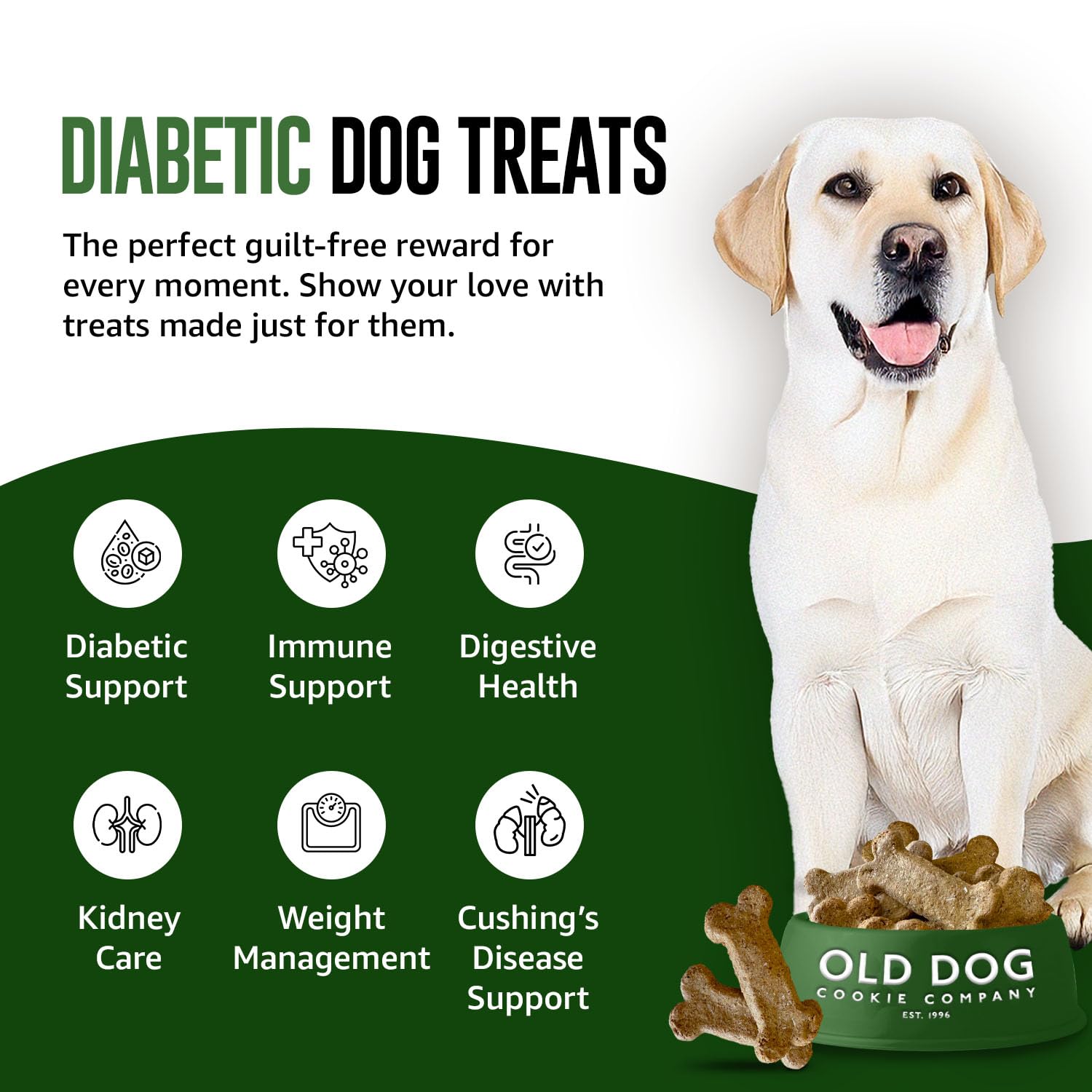 Old Dog Cookie Company close-up biscuit shows low-calorie diabetic-friendly formula