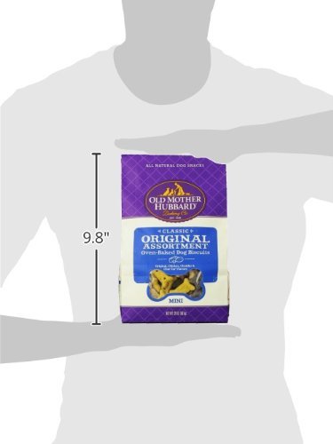 Dog enjoying Old Mother Hubbard Crunchy Classic treats after training.