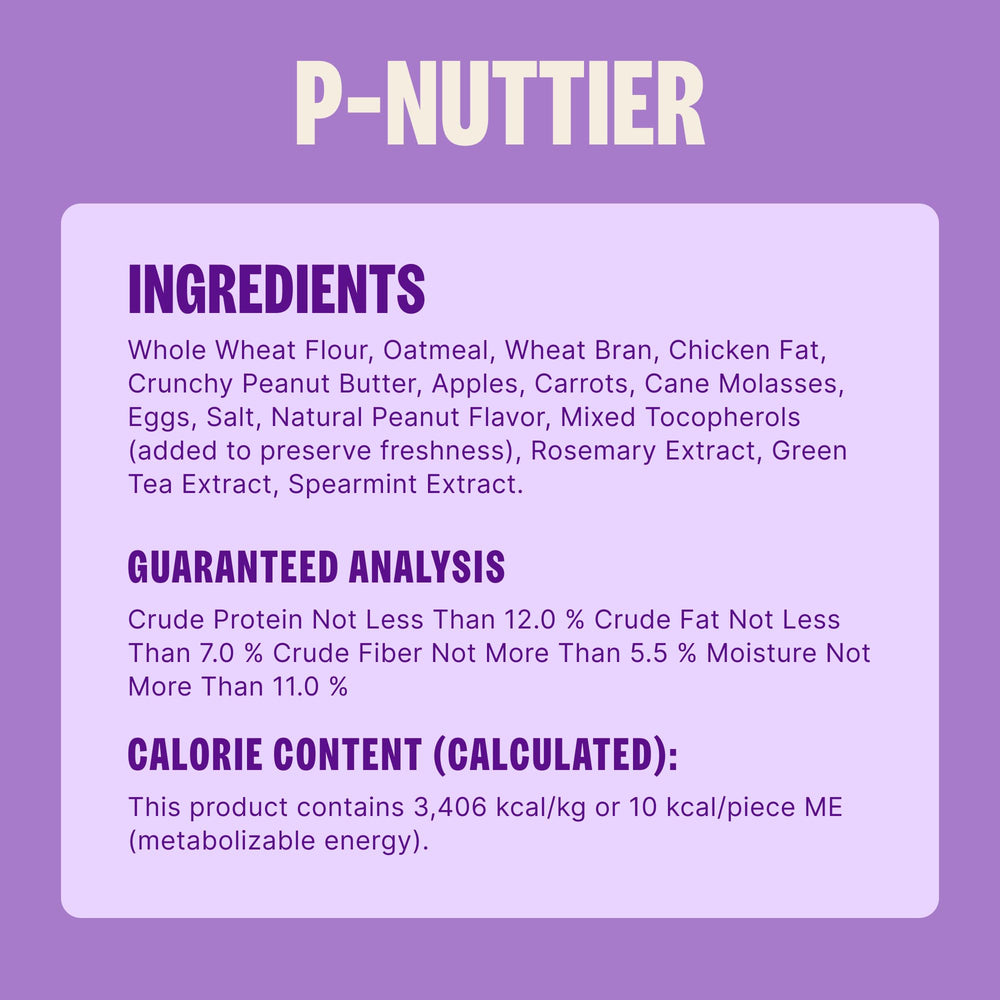 Dog enjoying a crunchy bite during playtime.