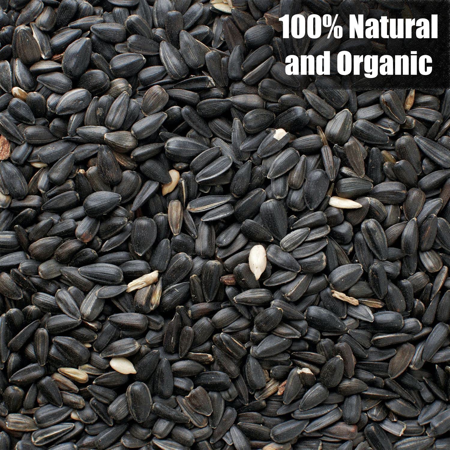 Old Potters Wildlife Non-GMO seeds sourced from USA small farms.