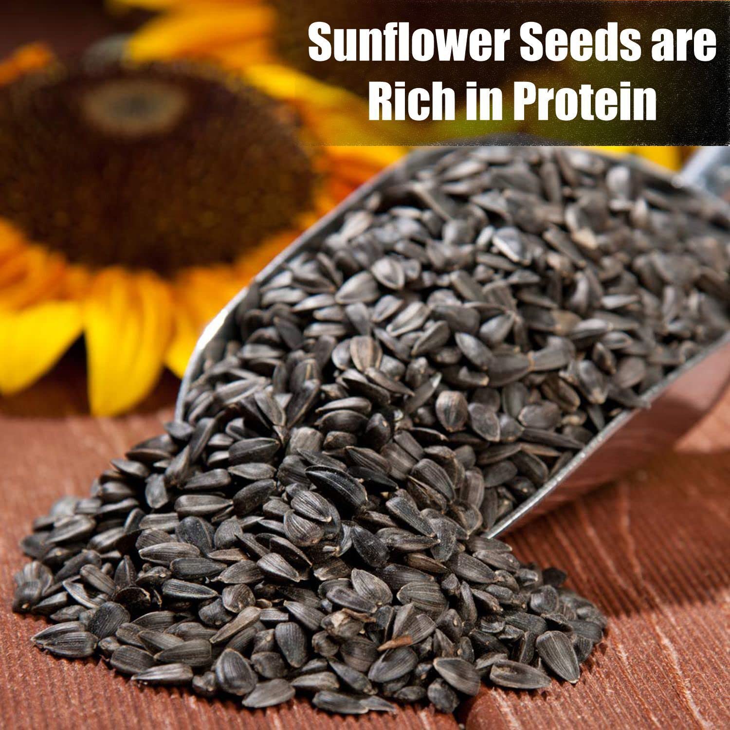 Old Potters Wildlife black oil sunflower seeds are Non-GMO and ideal for bird lovers.