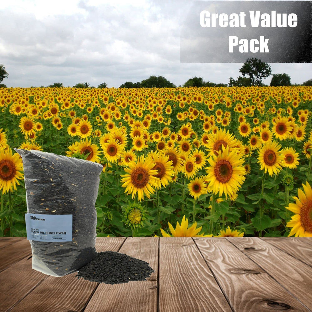 Old Potters Wildlife black oil sunflower seeds come in a 6-pound pack for longer feeding.