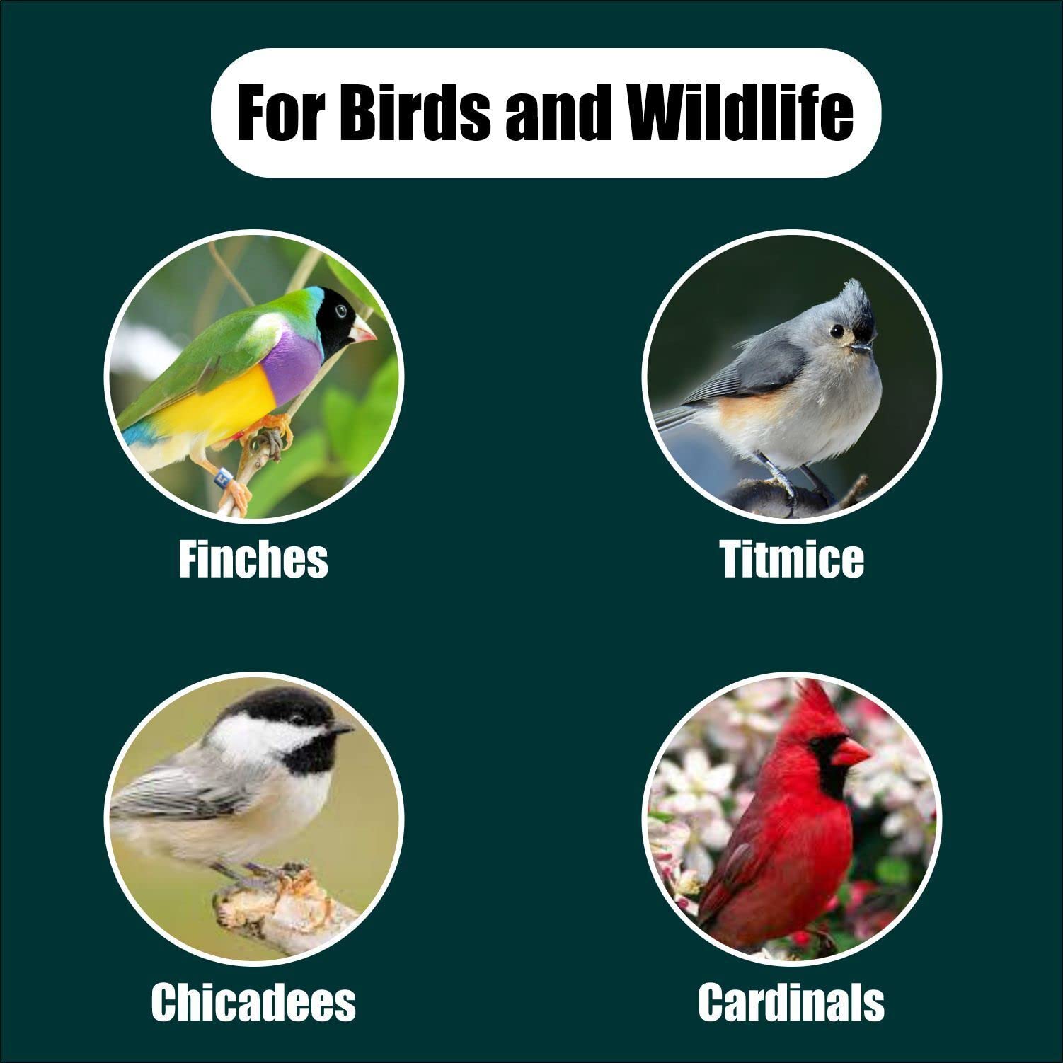 Old Potters environmental stewardship seeds support sustainable farms and ecosystems.