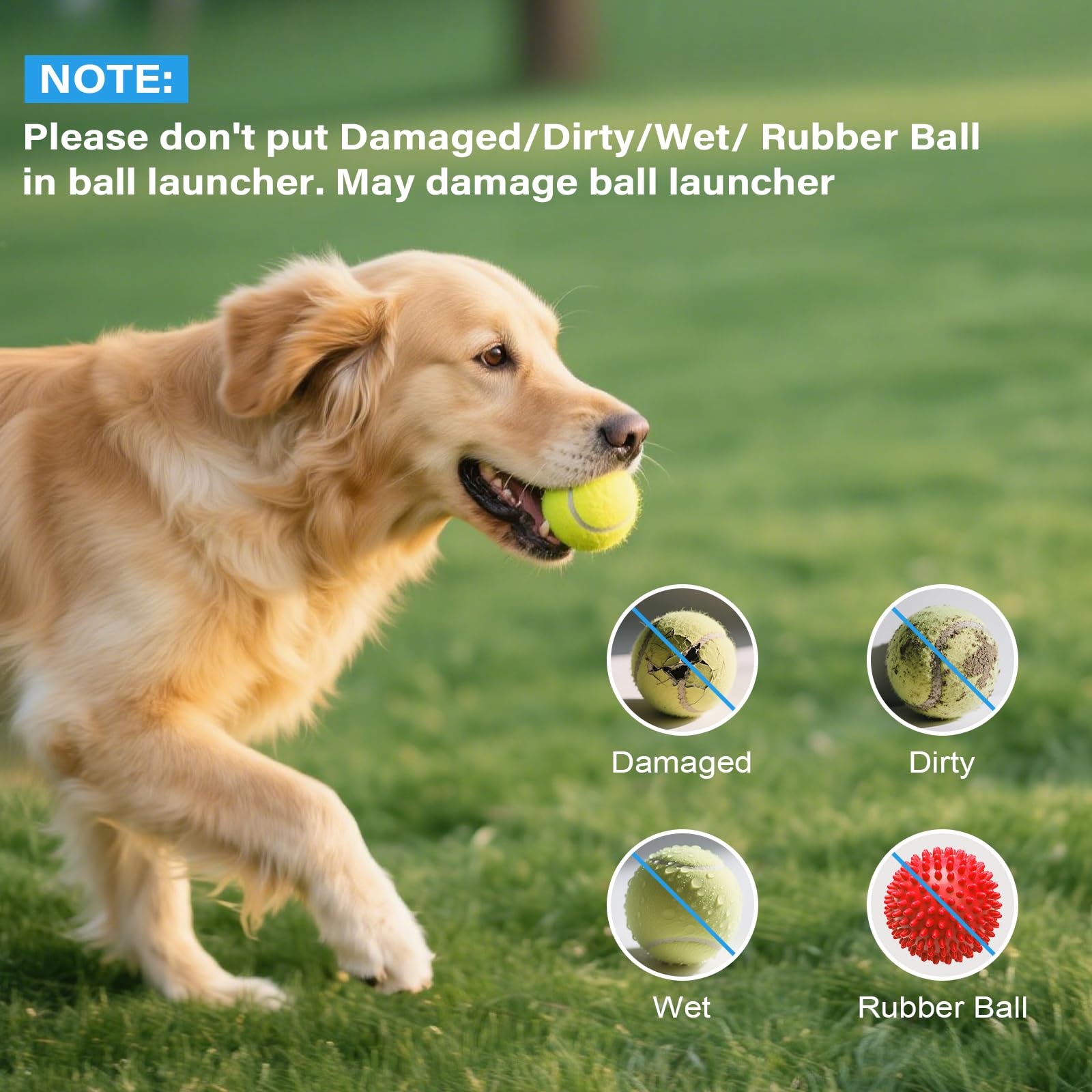 OLenyer dog enjoys indoor or outdoor play with this launcher.