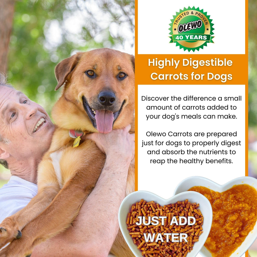 Olewo Carrots digestive health benefits with prebiotic fiber for gentle tummy support