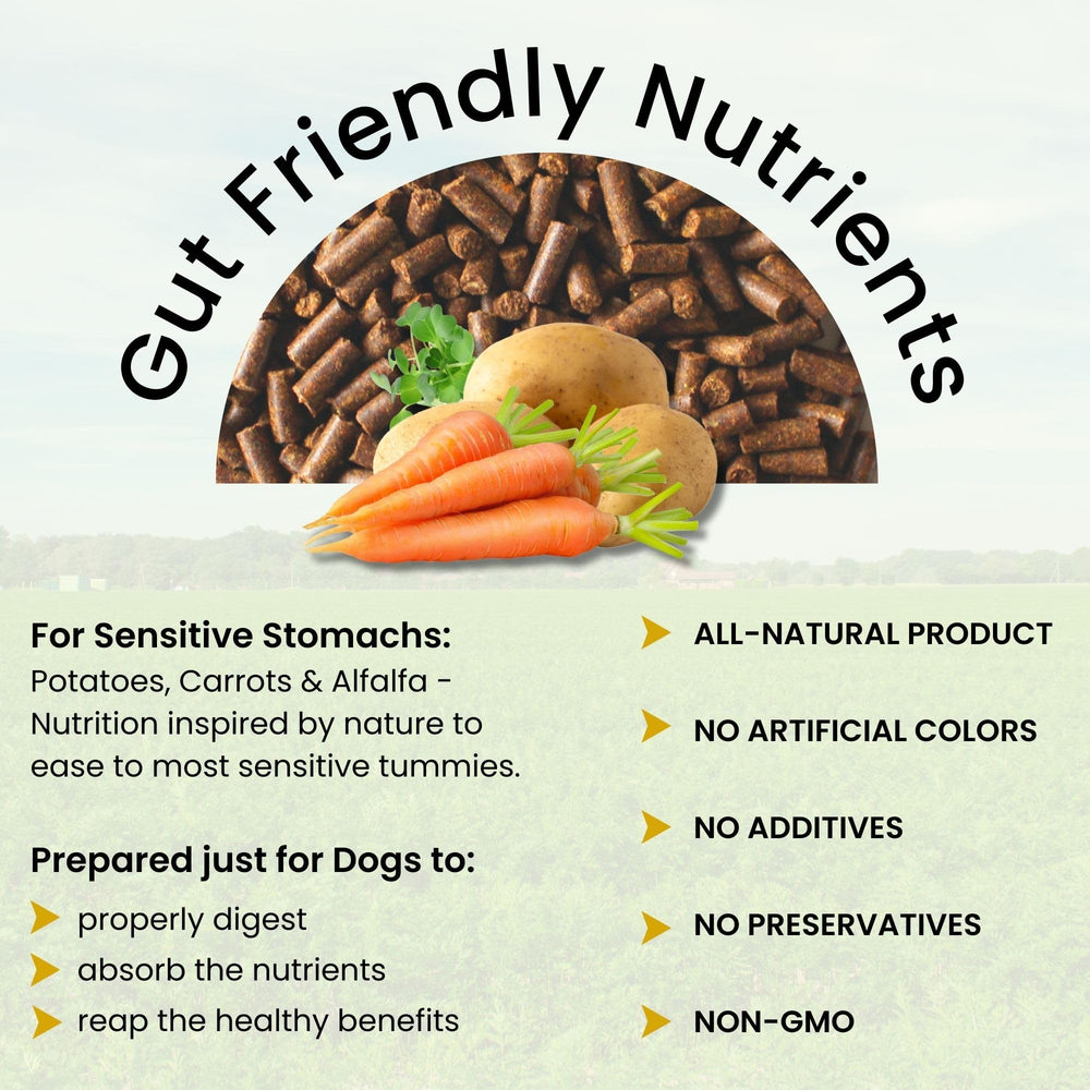 Olewo Rootsies ingredients close-up: potato, carrot, alfalfa for gut-friendly fiber.