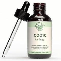 Oliver & Co. CoQ10 for Dogs bottle pour showing heart support potential and liquid format.