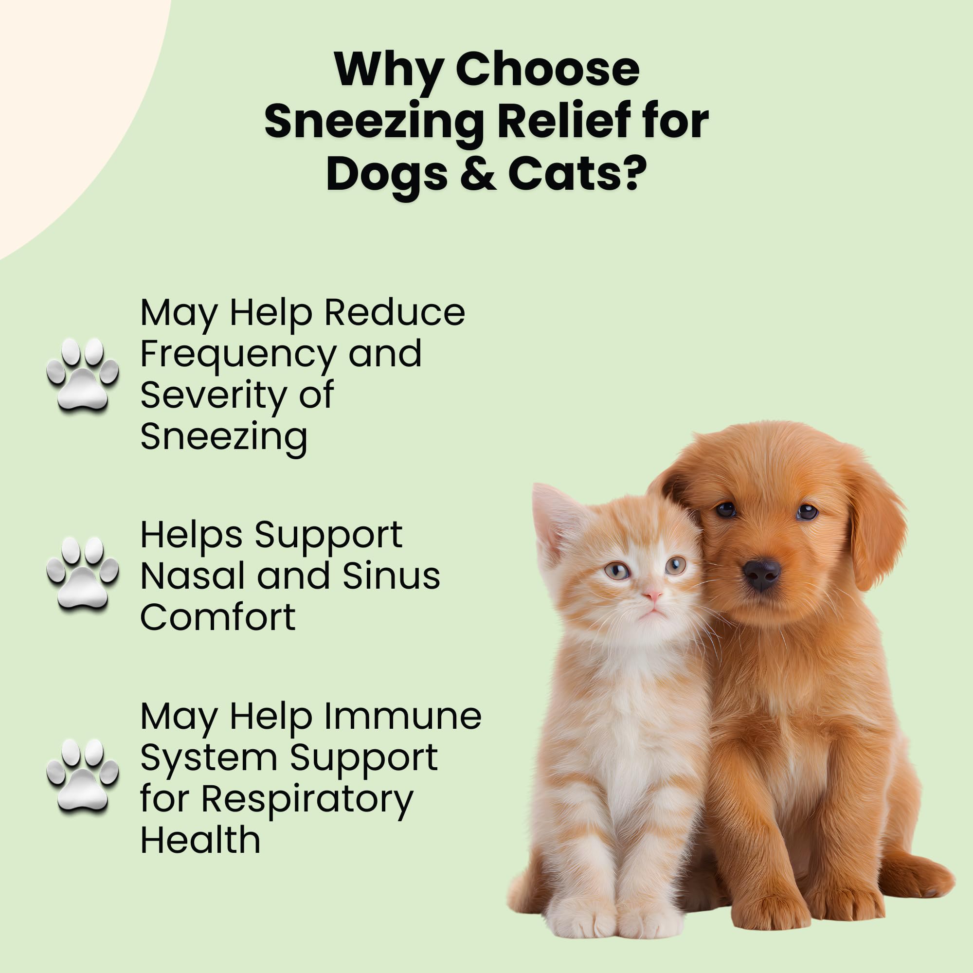 Oliver & Co Sneezing Relief cat dropper dispenses tincture for easier administration.