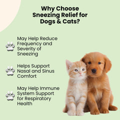 Oliver & Co Sneezing Relief cat dropper dispenses tincture for easier administration.